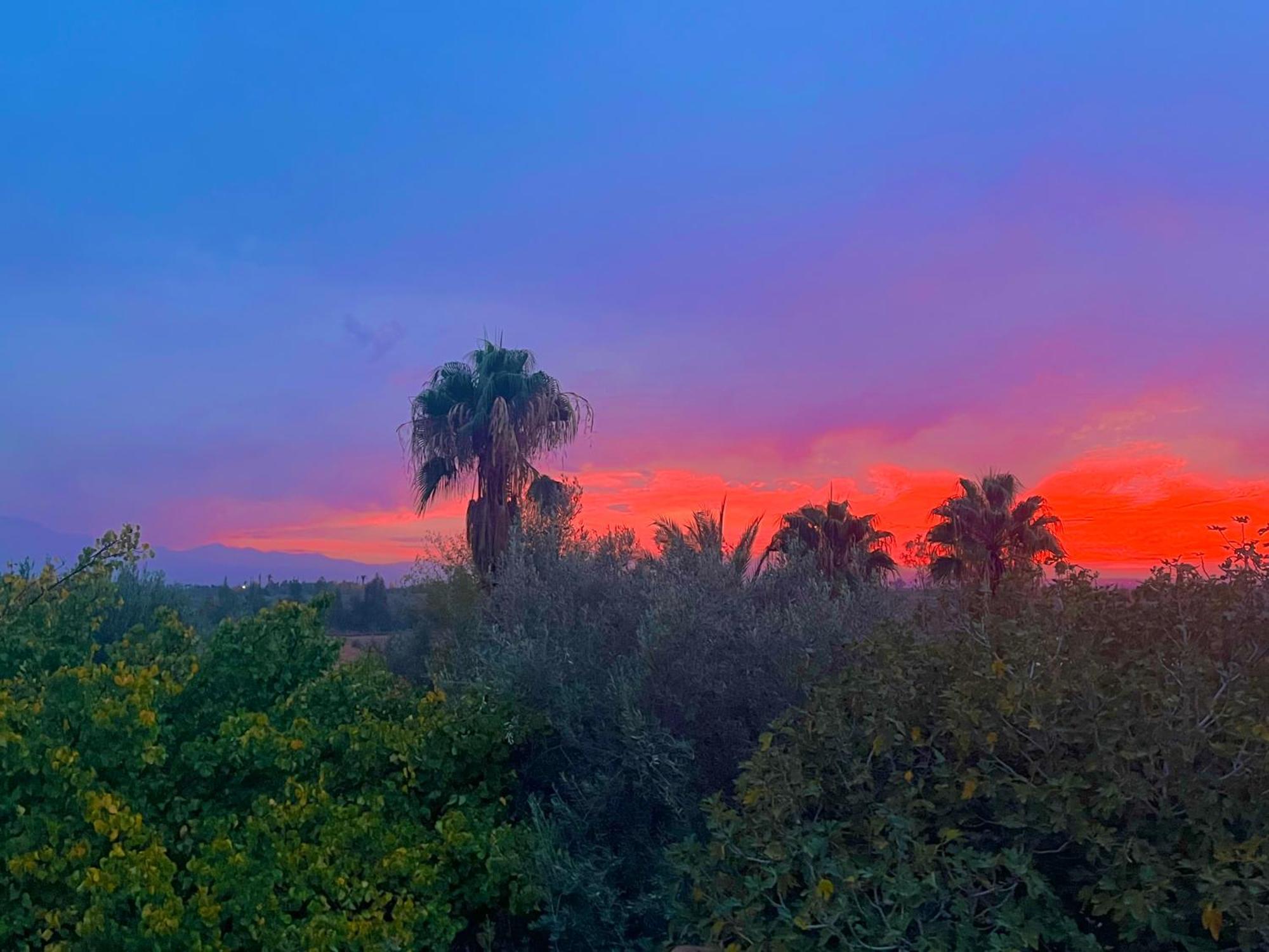 Bed and Breakfast Le Domaine De Carole Marrakech Douar Akkara Exterior foto