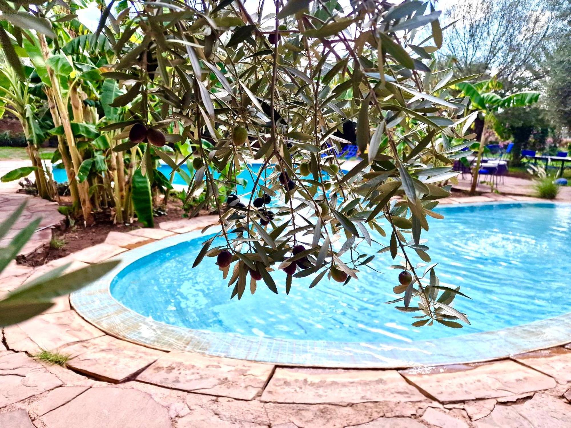 Bed and Breakfast Le Domaine De Carole Marrakech Douar Akkara Exterior foto